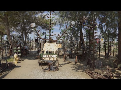Historic Route 66 - Bottle Tree Ranch