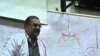 Dr Ehab Abdel Aziz Neuro II 1 Part 2 " white matter of cerebral hemisphere '