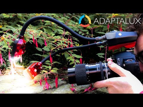 調光自在のモジュラー式カメラフラッシュ「ADAPTALUX FLASH ARMS」