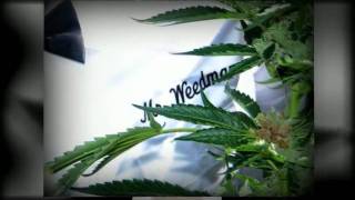 Emerson Windy "Mr. Weedman" song (Unofficial Video)