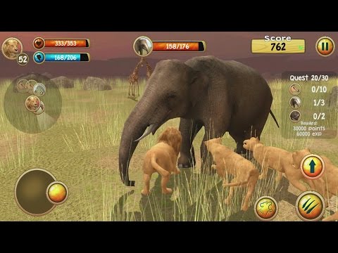 Wild Lion Simulator 3D Android Gameplay #9 - YouTube