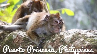 Puerto Princesa UNDERGROUND RIVER