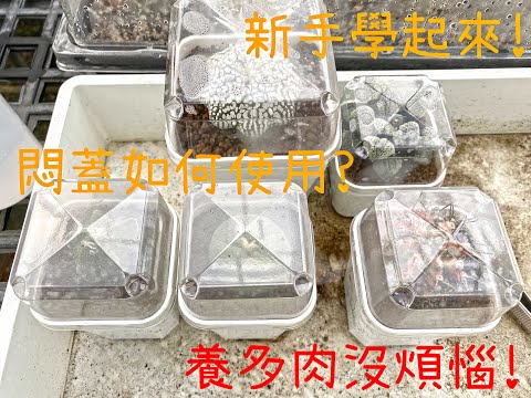 如何使用悶蓋?