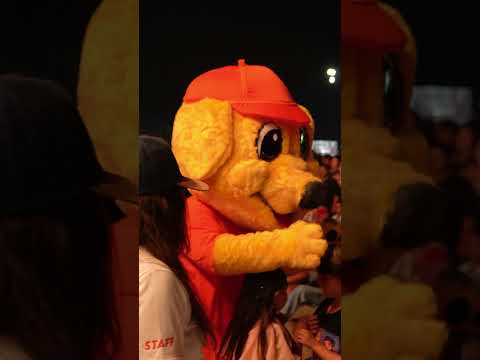 Telebingo Solidarios - El hoyo