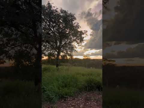 Bom jardim das Flores, Morrinhos #goiás