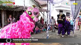 Download lagu TARI BARONGSAI (JAIL) | BUROK DANGDUT CINTA NADA BUDAYA SHOW BAROS - KTG 12/04/2025 mp3