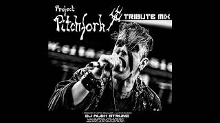 PROJECT PITCHFORK TRIBUTE SET by  Dj Alex Strunz
