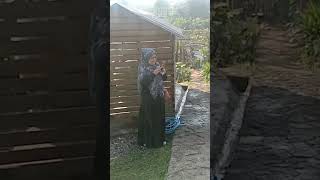 Download lagu @Rustic Market part2#shorts#shortsvideo#travel#explore#adventure#mojokerto#trawas mp3