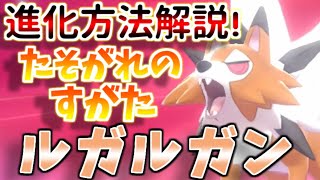 【鎧の孤島】2分で分かる！たそがれのすがたルガルガンへの進化方法を解説！【ポケモン剣盾】