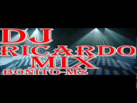 Dj Ricardo mix 2014..