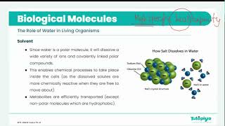 Cambridge International A Levels - Biology [9700] : Water