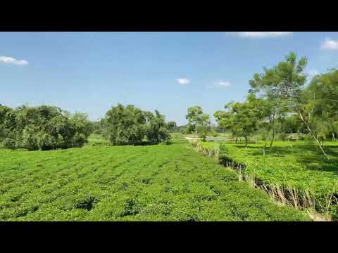 একি অপরূপ সোনার বাংলা!