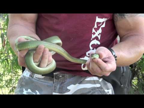 YouTube Video uaVItKgcbsU