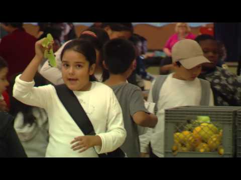 Edible City: Grow the Revolution