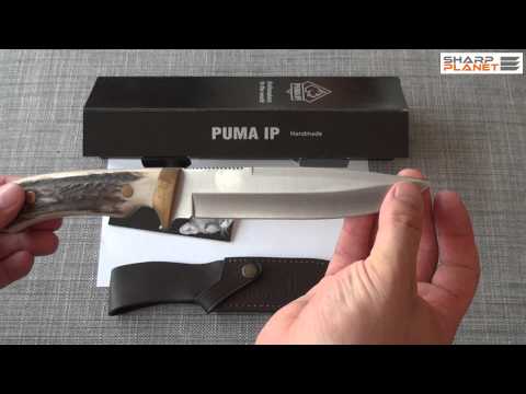 PUMA IP Mountain Stag