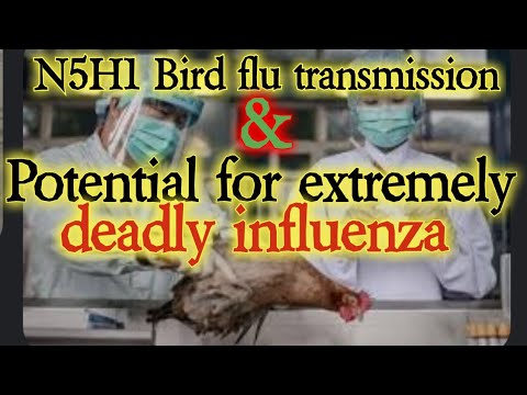 N5H1 bird flu transmissions and... Potential for an extremely deadly influenza!!
