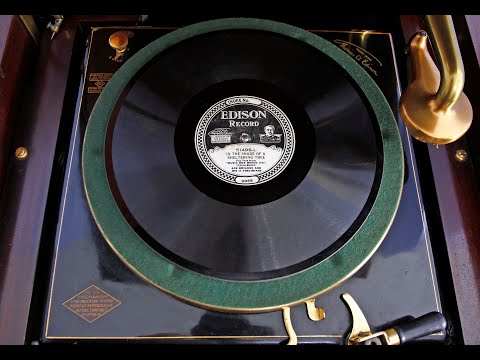 Ace Brigode and his 14 Virginians, "In The Shade Of A Sheltering Tree", Edison Diamond Disc 51496-L