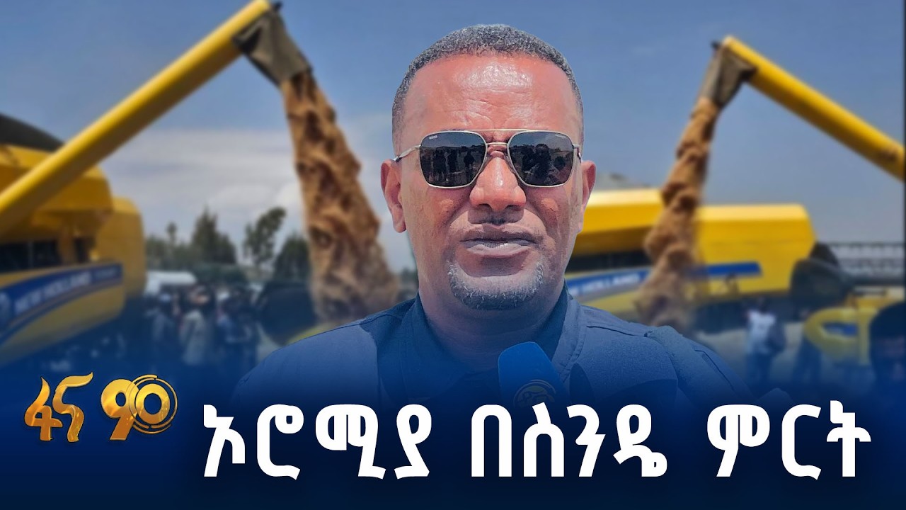የበጋ መስኖ ስንዴ ምርት አሰባሰብ