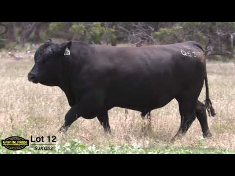 GRANITE RIDGE QUIGLEY Q53