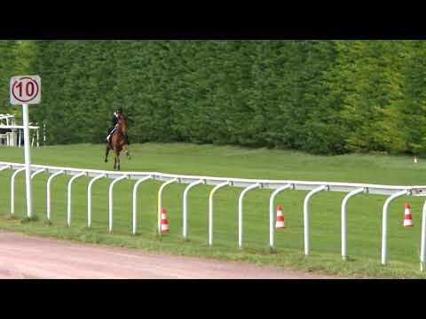 Breeze-Up Osarus 2020 - Lot 54 bis