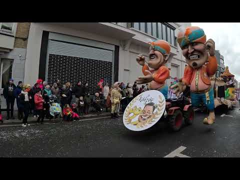 Aalst Carnaval Groepen 2023🎭 - De Zieke Zjieratten-Twiekierenniet