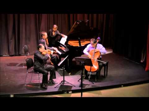 Johannes Berauer. Piano Trio No.1