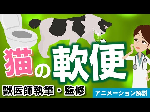 猫の軟便:原因と解決策