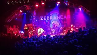 Zebrahead - Wake me up (Live in Hamburg Markthalle 17/09/2019)