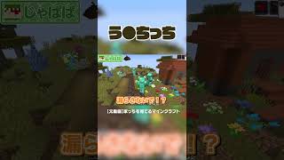 家を育ててたら、まさかの💩になったｗ#からぴち#minecraft