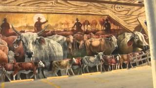 preview picture of video 'A look @ some of the murals in Lake Placid, FL. (Part 7)'