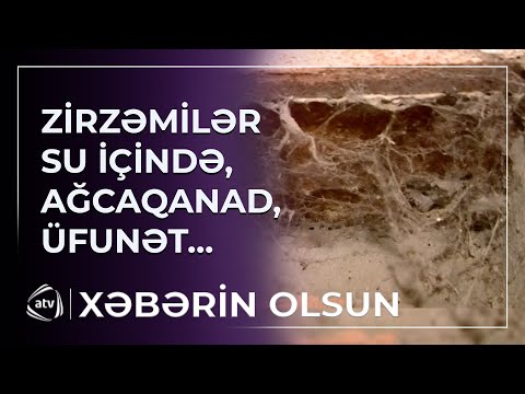 Zirzəmilər su içində, ağcaqanaq, üfunət...