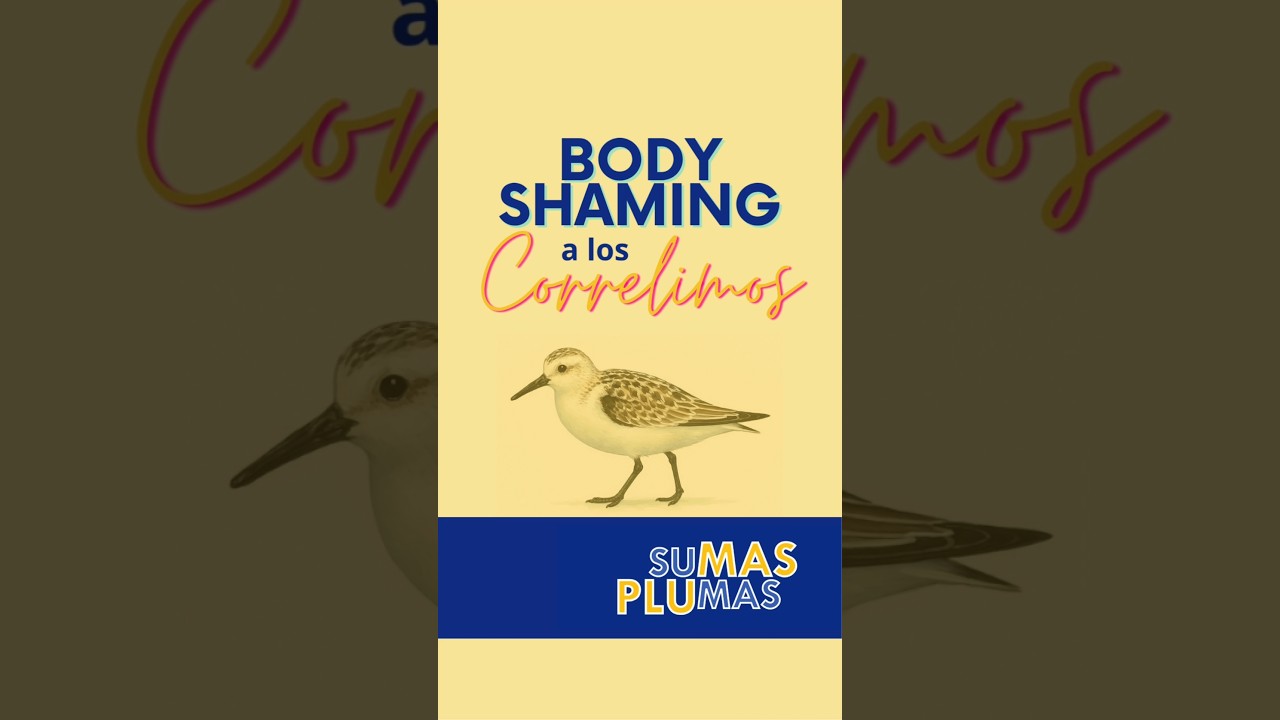Body shaming a correlimos 