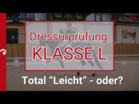 Alles ganz Leicht - oder? Die Klasse L - Was müssen Pferd und Reiter können?