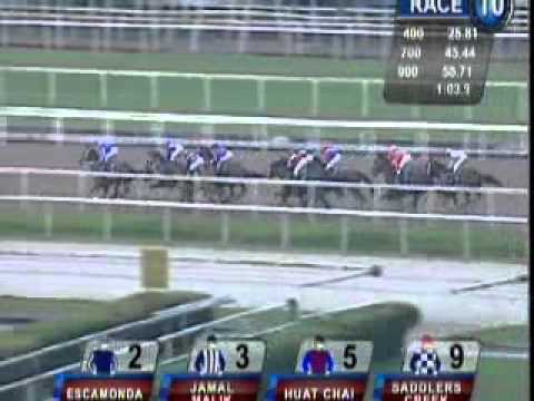 ESCAMONDA G3 New Year Cup SINGAPORE