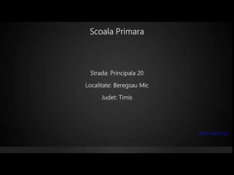 Scoala Primara Beregsau Mic