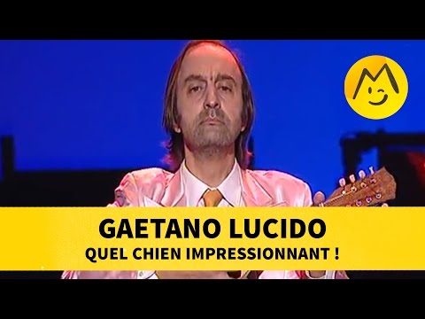 Gaetano Lucido : quel chien impressionnant !