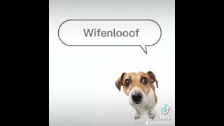 Cover art for wenamechainsame