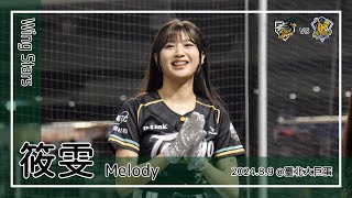 【台湾チア】筱雯 Melody | Wing Stars | 嗆司曲 敢衝敢拼 + 藍寅倫 應援曲 [中文歌詞]
