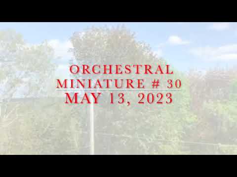 Orchestral Miniature # 30