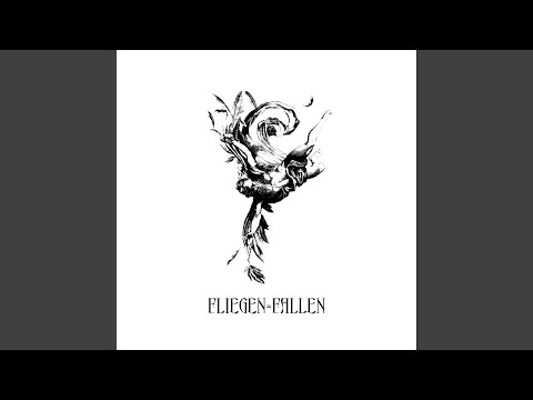 Fliegen = Fallen