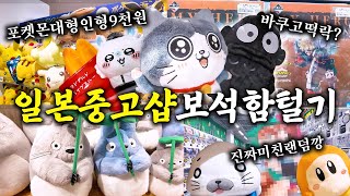 포켓몬 대형인형이 9천원? 현지 중고샵에서 무조건 득템하는 법 공개합니다(포켓몬, 북오프, 스루가야)