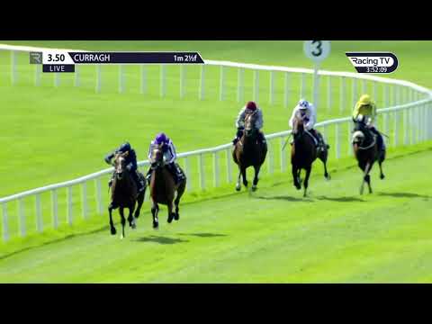Tattersalls Gold Cup (Group 1) 2019