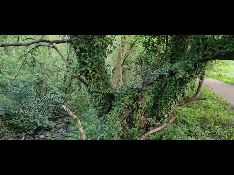 Slua Si and more #folklore #legends #myth #Fae