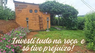 relato real sobre investimento na roça!