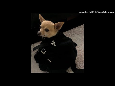 [free] bladee x yung lean x ripsquad type beat - "zodiac" [prod.silver + methboiswag]