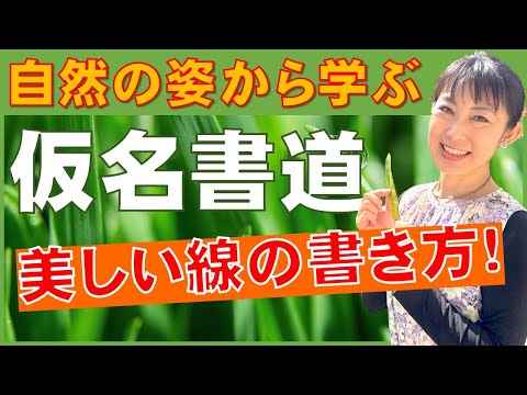 日本文学科 【仮名書道】自然の姿から学ぶ「美しい線の書き方」Traditional Japanese calligraphy channel.