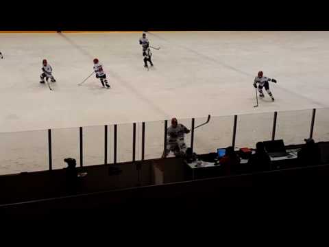 Kiekko-Tiikerit vs HIFK Red