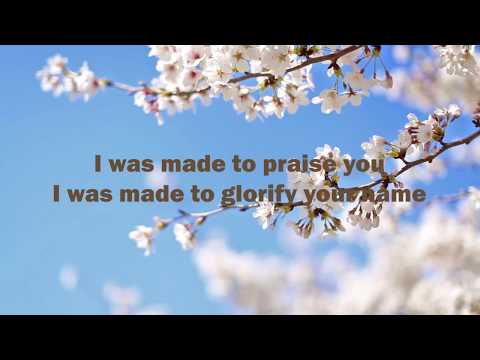 I Was Made To Praise You by Lamar Boschman LYRICS