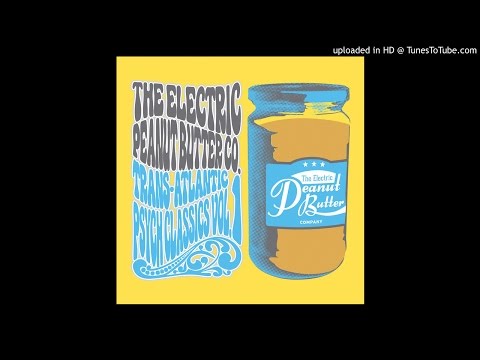 The Electric Peanut Butter company- Austin City Limiter