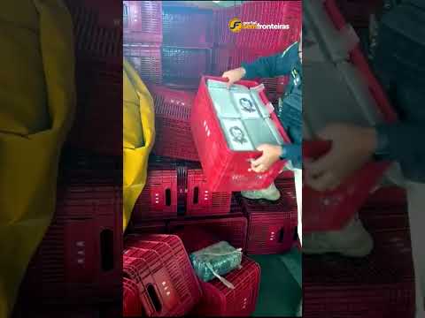PRF apreende mais de meia tonelada de cocaína em Piripiri
